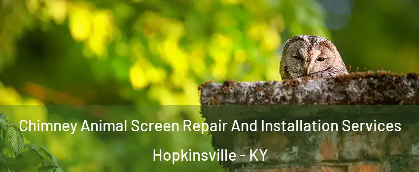  Chimney Animal Screen Repair And Installation Services Hopkinsville - KY