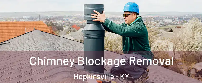  Chimney Blockage Removal Hopkinsville - KY