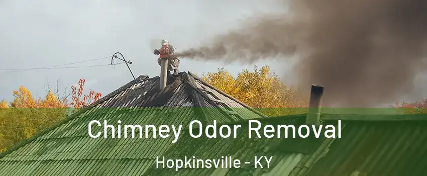  Chimney Odor Removal Hopkinsville - KY