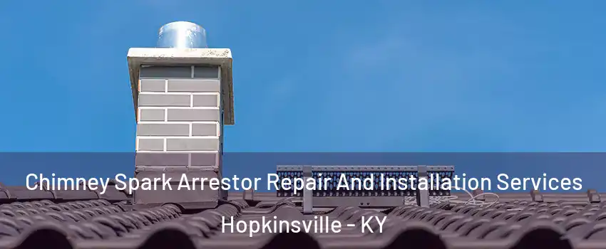  Chimney Spark Arrestor Repair And Installation Services Hopkinsville - KY