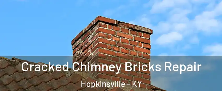  Cracked Chimney Bricks Repair Hopkinsville - KY