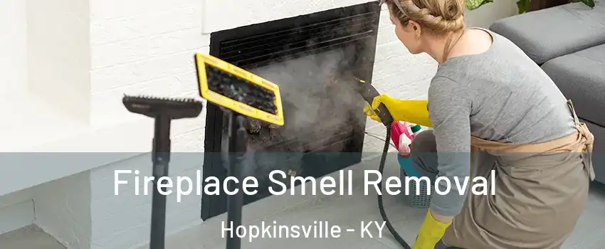  Fireplace Smell Removal Hopkinsville - KY