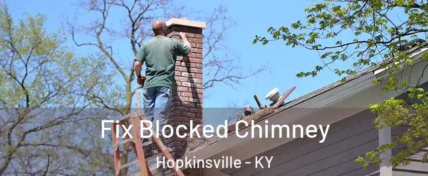  Fix Blocked Chimney Hopkinsville - KY