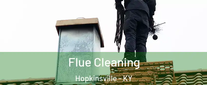  Flue Cleaning Hopkinsville - KY