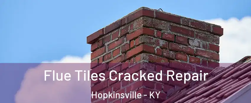  Flue Tiles Cracked Repair Hopkinsville - KY