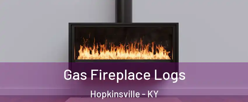  Gas Fireplace Logs Hopkinsville - KY