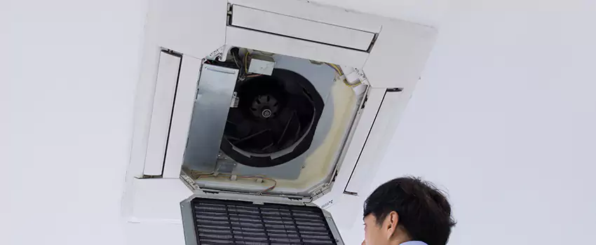 Benefits of Professional Air Duct Cleaning in Hopkinsville, Kentucky
