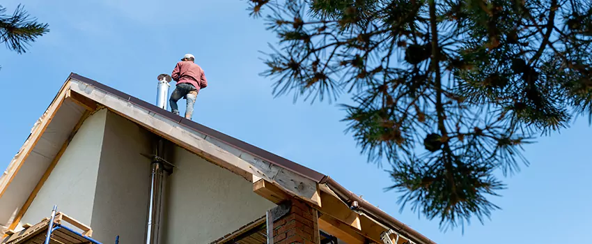 Birds Removal Contractors from Chimney in Hopkinsville, KY
